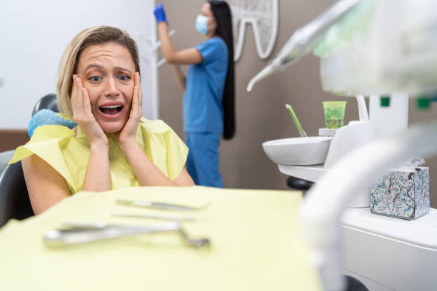 Best Emergency Dental Care for Broken or Chipped Teeth in South Miami Heights, FL